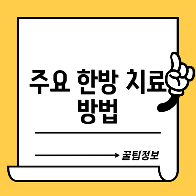 주요 한방 치료 방법