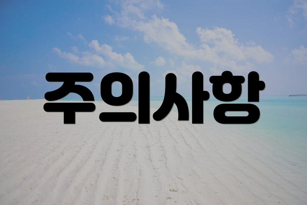 주의사항