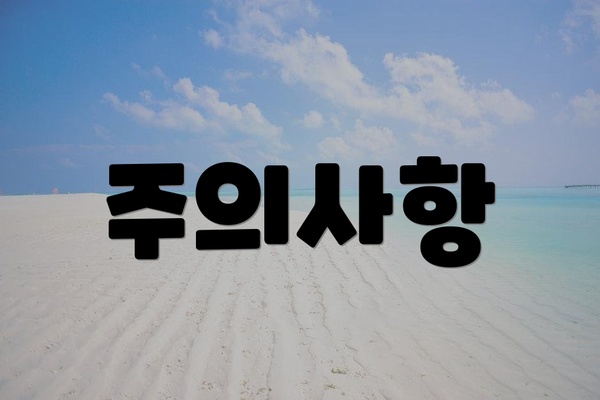 주의사항