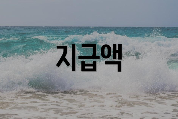 지급액