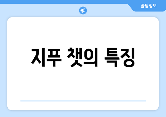 지푸 챗의 특징