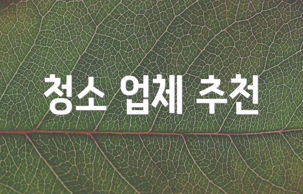 청소 업체 추천