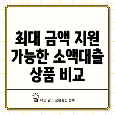 최대 금액 지원 가능한 소액대출 상품 비교