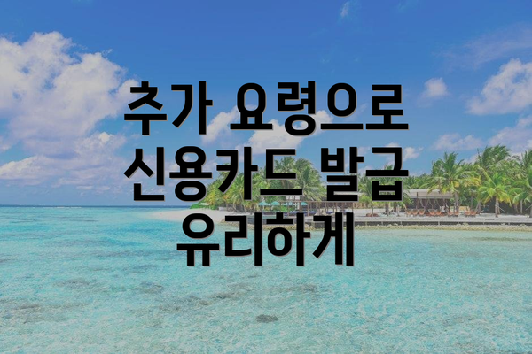 추가 요령으로 신용카드 발급 유리하게