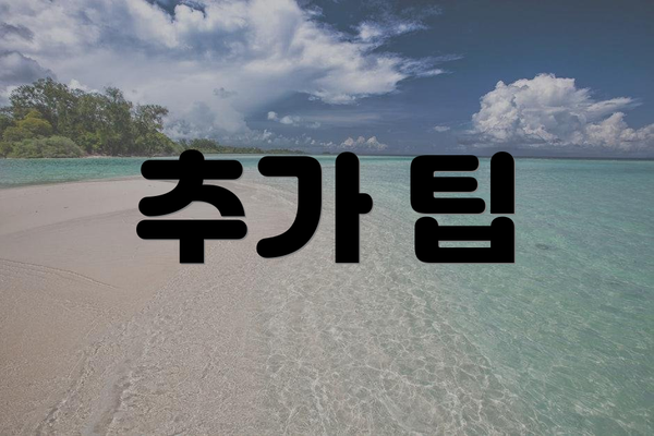 추가 팁