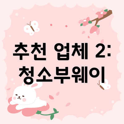 추천 업체 2: 청소부웨이