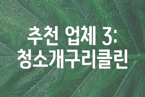 추천 업체 3: 청소개구리클린