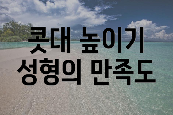 콧대 높이기 성형의 만족도