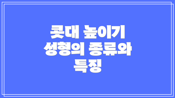 콧대 높이기 성형의 종류와 특징