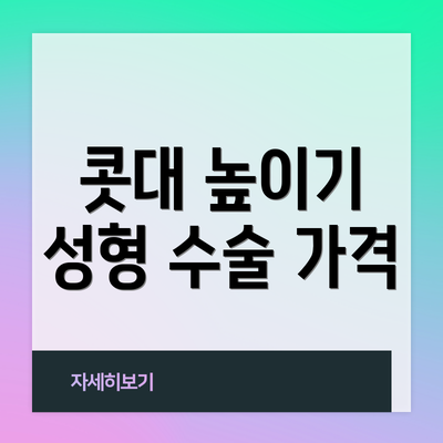 콧대 높이기 성형 수술 가격