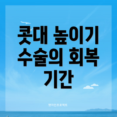 콧대 높이기 수술의 회복 기간