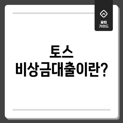 토스 비상금대출이란?