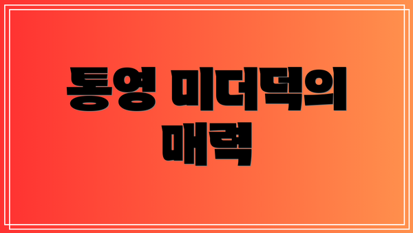 통영 미더덕의 매력