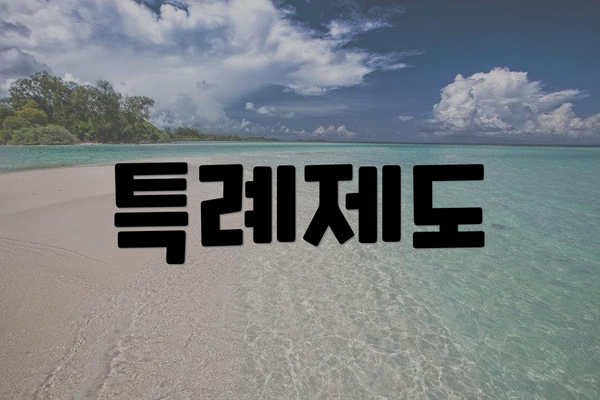 특례제도