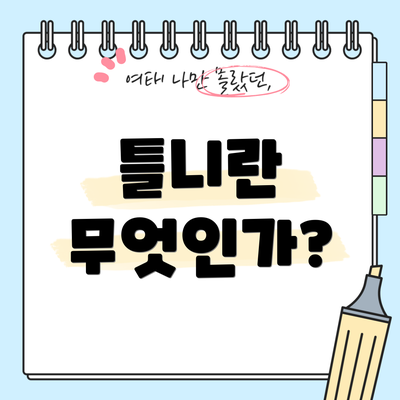 틀니란 무엇인가?