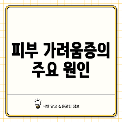 피부 가려움증의 주요 원인