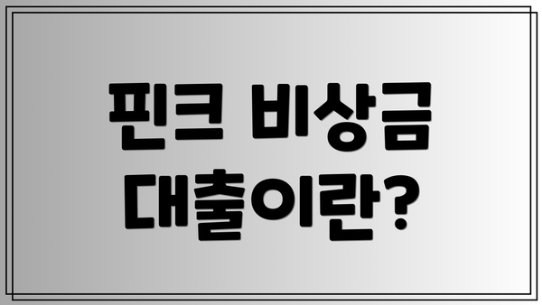 핀크 비상금 대출이란?