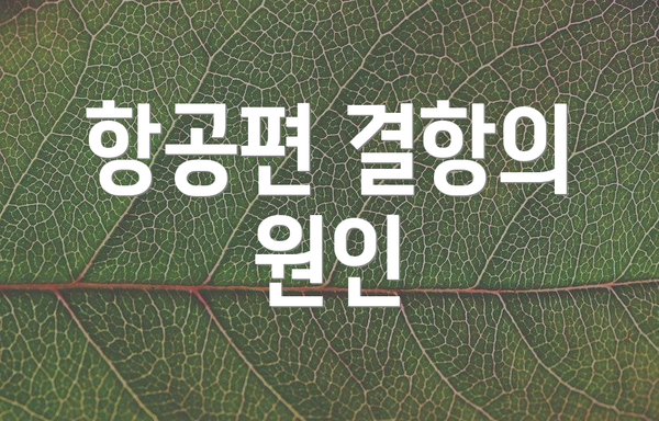 항공편 결항의 원인