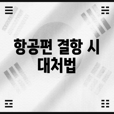 항공편 결항 시 대처법