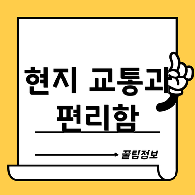 현지 교통과 편리함