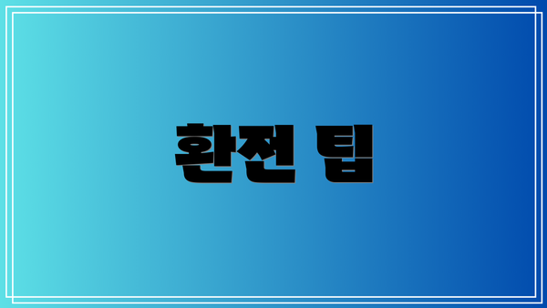 환전 팁