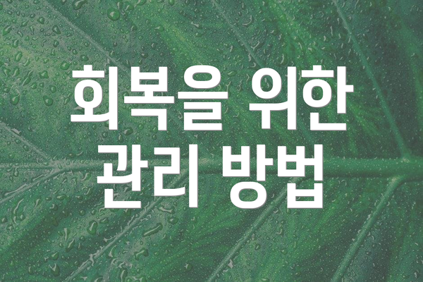 회복을 위한 관리 방법