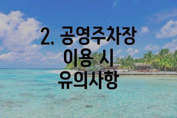 2. 공영주차장 이용 시 유의사항
