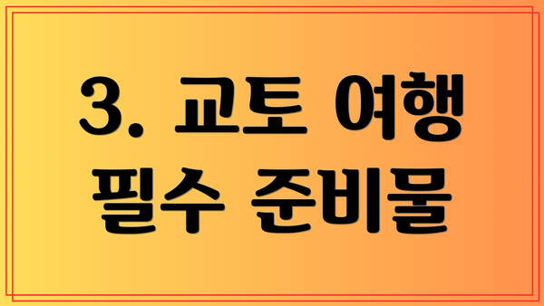 3. 교토 여행 필수 준비물