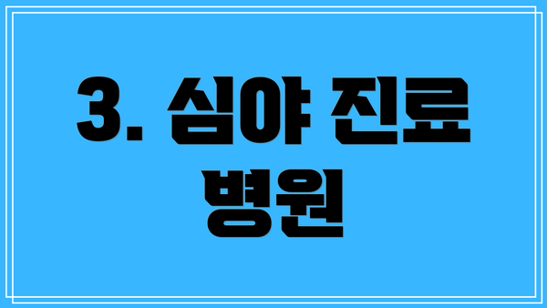 3. 심야 진료 병원