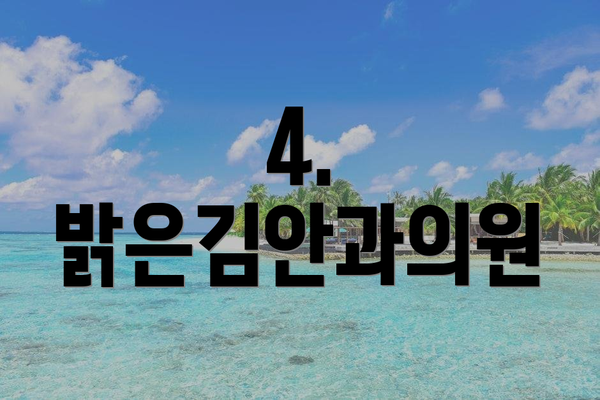 4. 밝은김안과의원