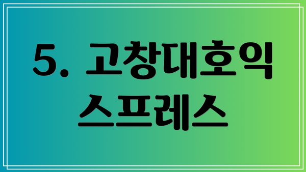 5. 고창대호익스프레스