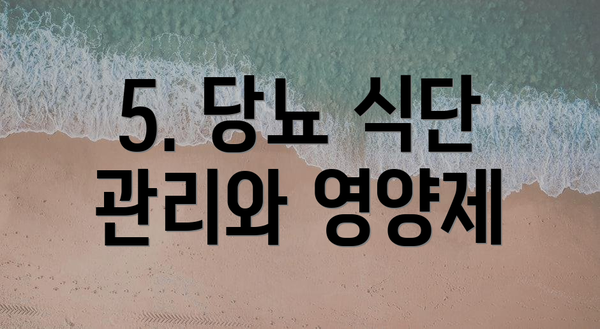 5. 당뇨 식단 관리와 영양제