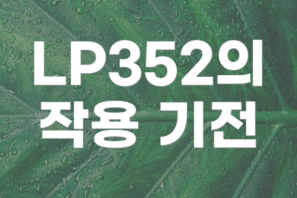 LP352의 작용 기전