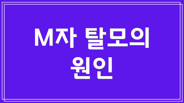 M자 탈모의 원인