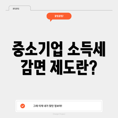 중소기업 소득세 감면 제도란?